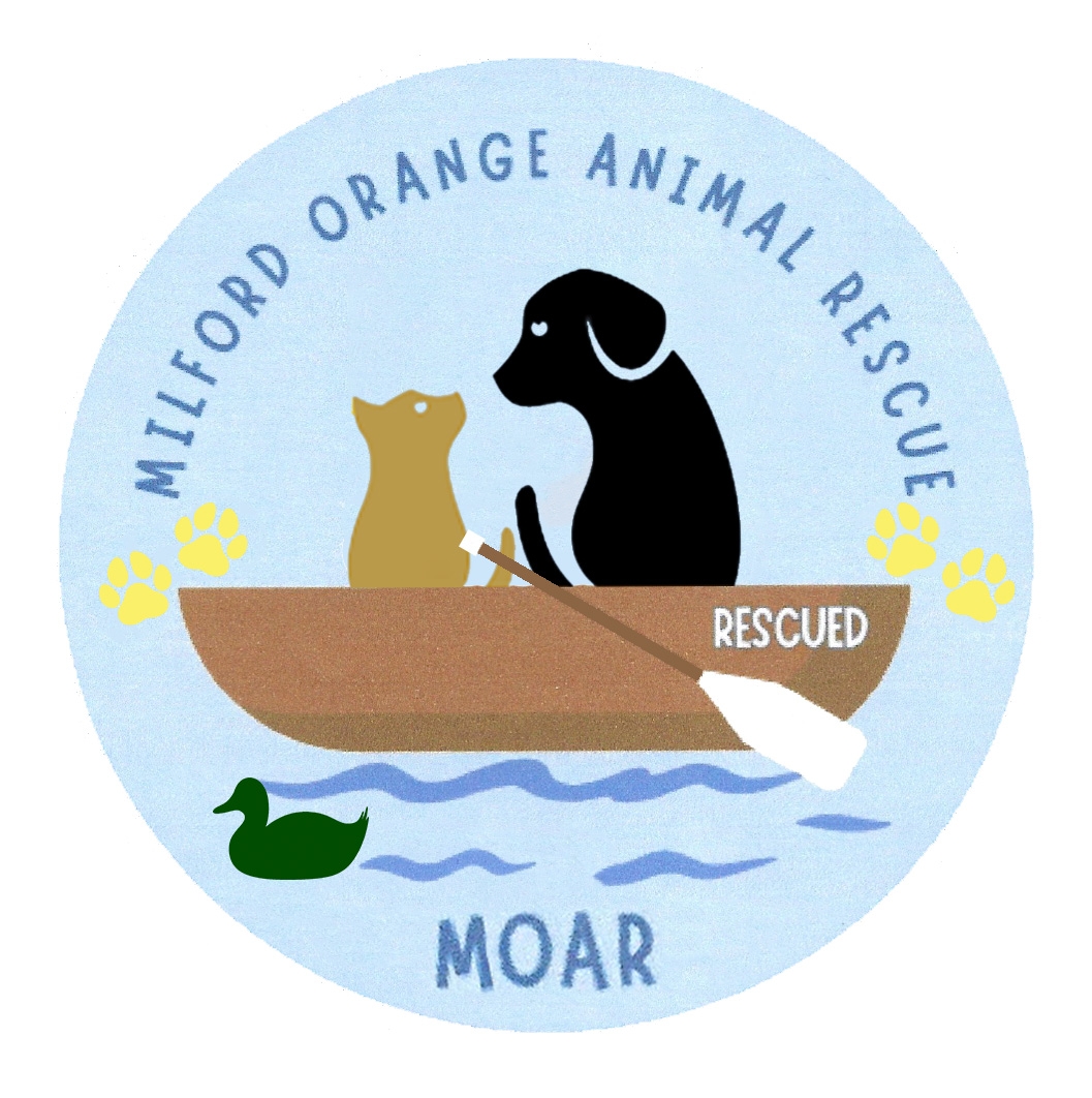 moar logo