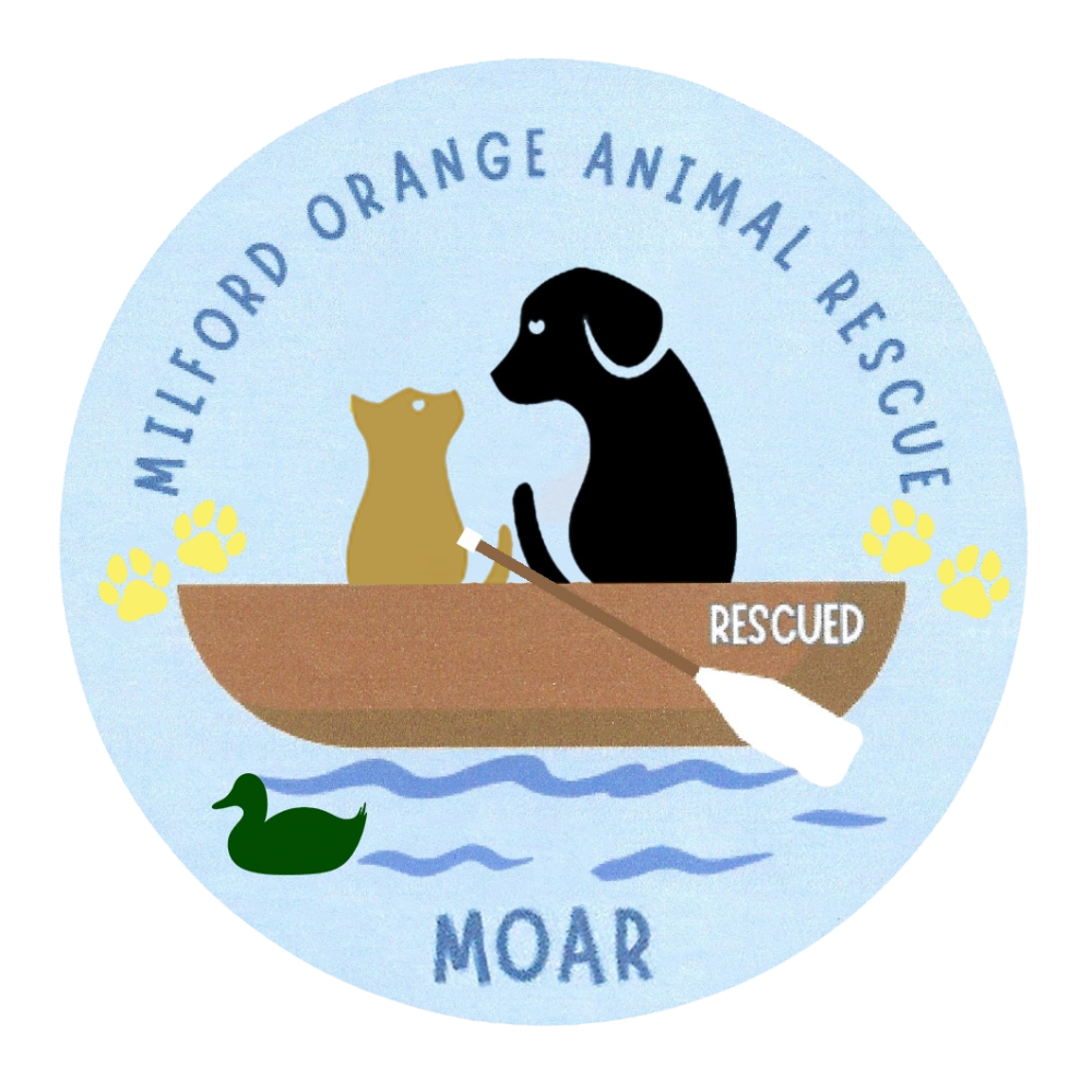 moar logo